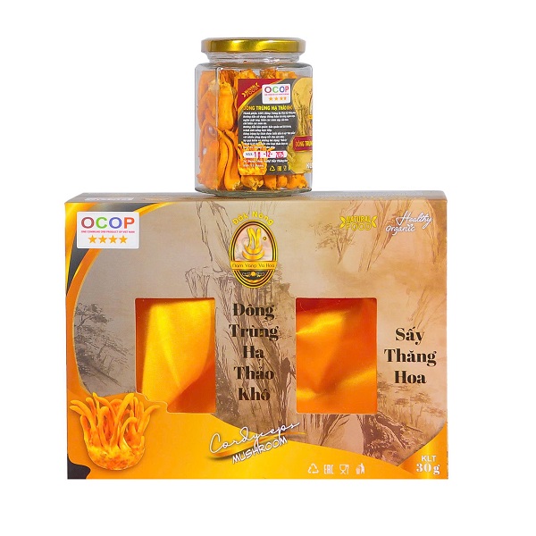 Đông trùng hạ thảo sấy thăng hoa