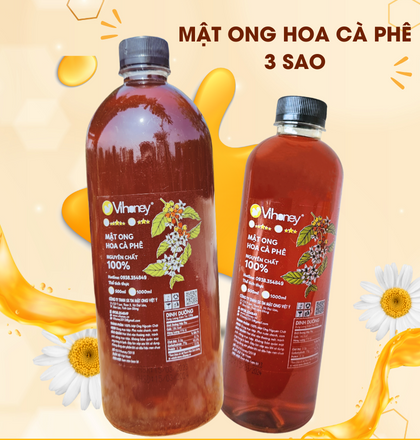 HÌNH-1