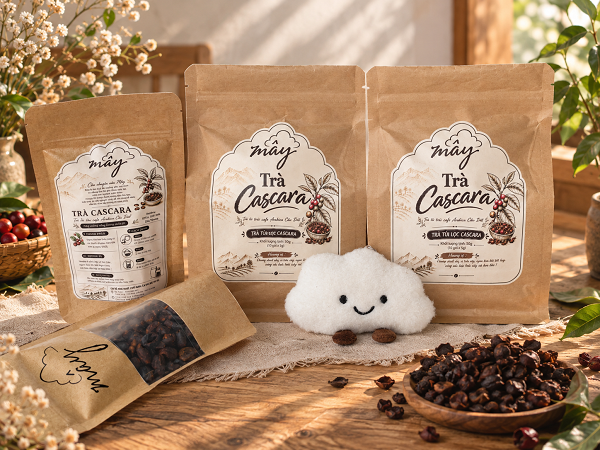 Trà cascara túi lọc
