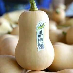 Bí Hạt Đậu Đà Lạt