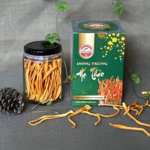Đông trùng hạ thảo sấy thăng hoa Thái Châu